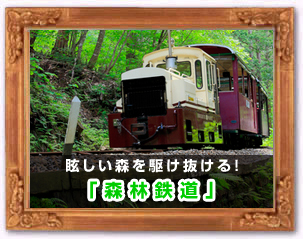 「森林鉄道」